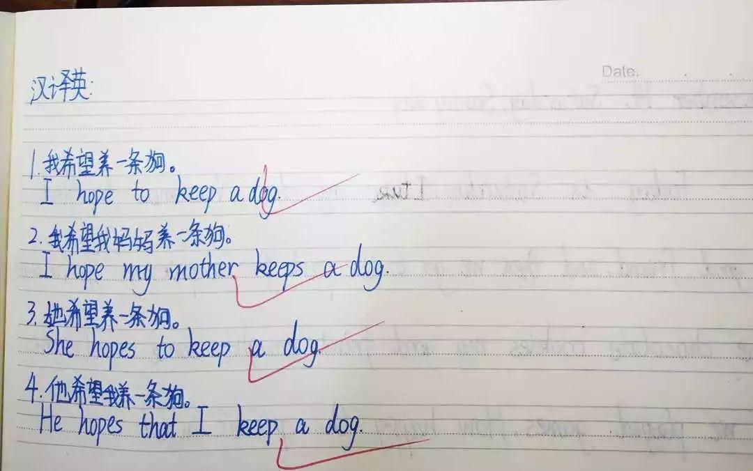 如何在雙語教學中提升學生的語法掌握