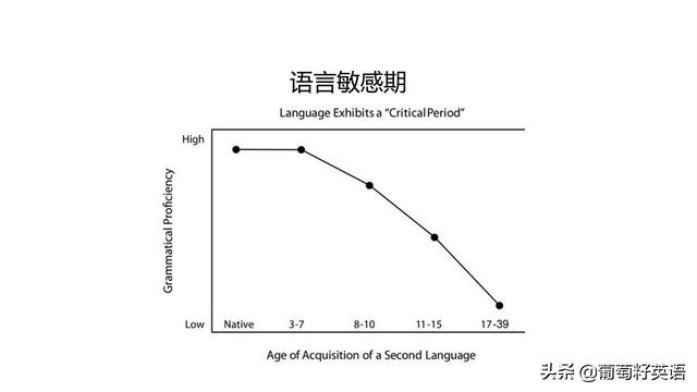 語言焦慮對雙語學(xué)習(xí)效果的影響探究