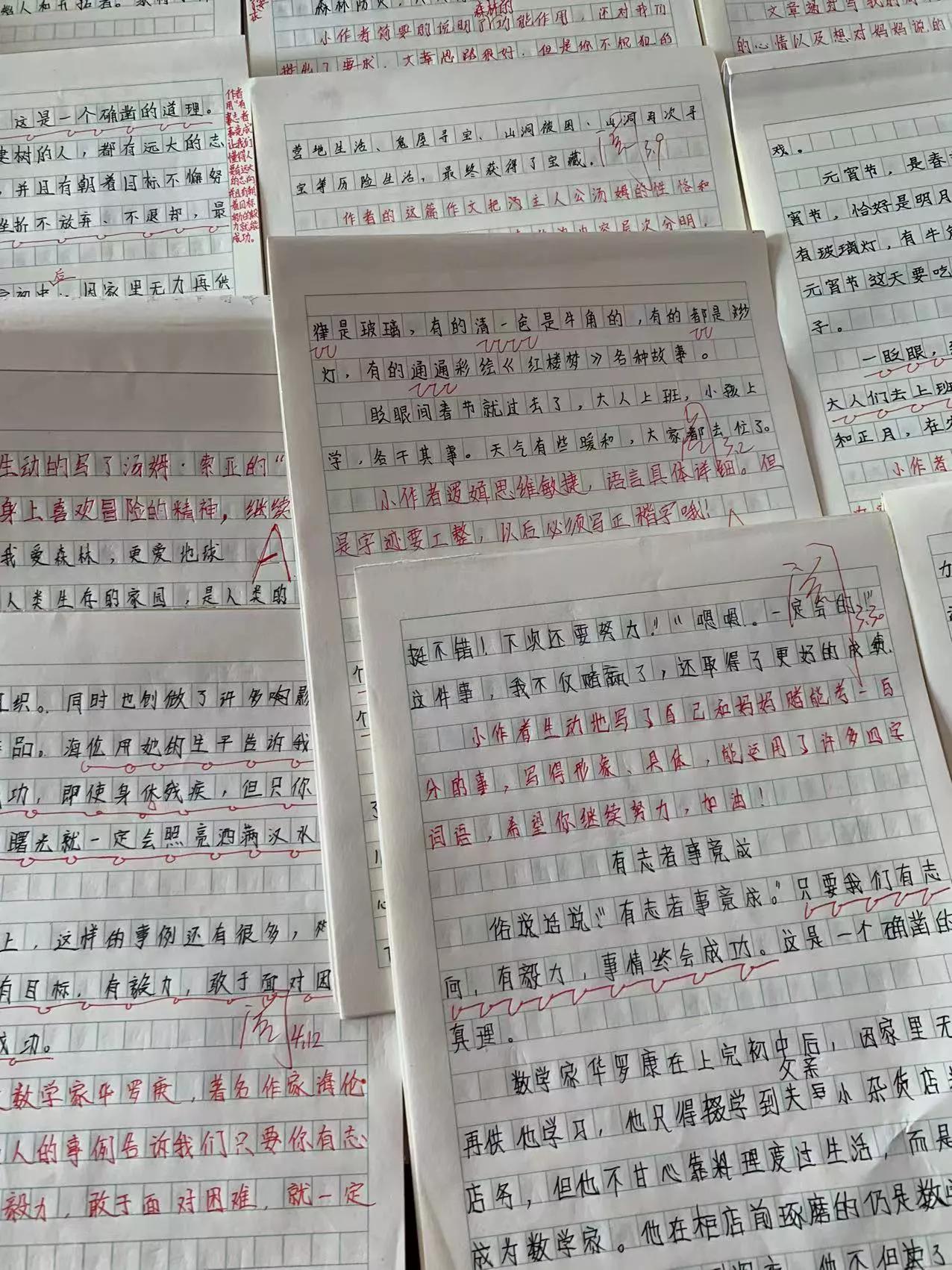 雙語學(xué)校如何提高學(xué)生的閱讀理解能力
