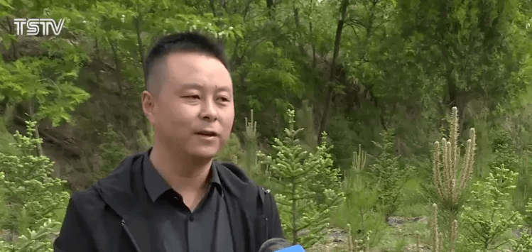 雙語課堂如何利用多模態(tài)教學(xué)資源