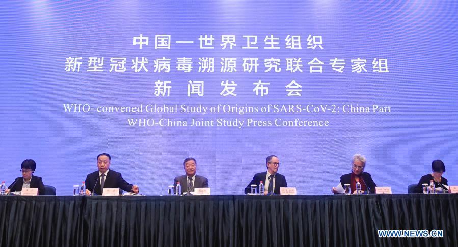 如何提高雙語課堂的教學(xué)組織能力