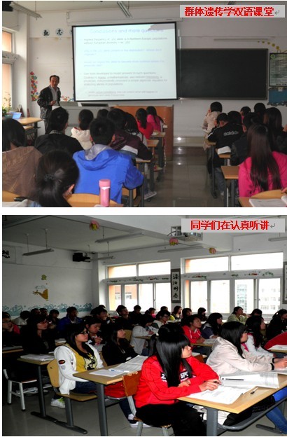 雙語學(xué)校學(xué)科英語優(yōu)化的策略與路徑
