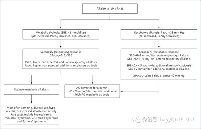 語料庫分析技術(shù)在雙語寫作評(píng)估中的實(shí)踐與運(yùn)用