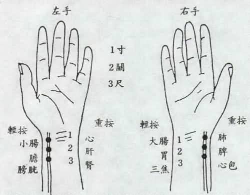提升自主學(xué)習(xí)能力，學(xué)生評估與支持策略與實(shí)踐