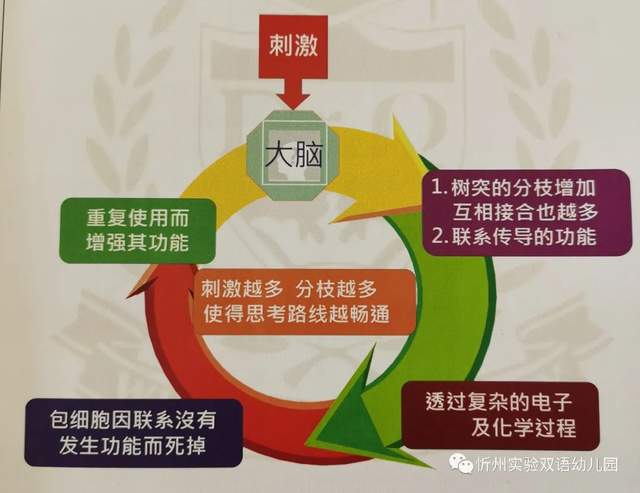 游戲化評估，提升學生學習體驗的策略