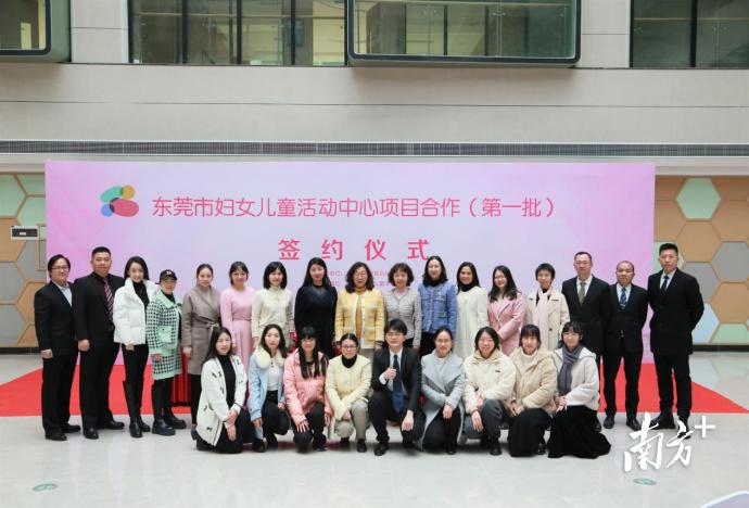 雙語教師跨學科合作提升教學質量之道