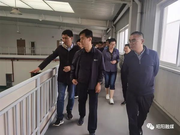 如何通過心理支持系統(tǒng)提高雙語教師的職業(yè)幸福感