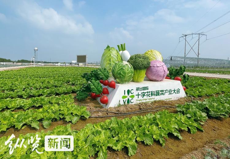 如何通過網(wǎng)絡(luò)研討會促進(jìn)雙語教師的專業(yè)發(fā)展