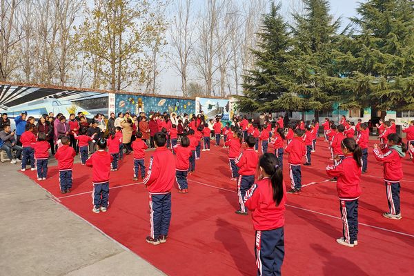 校園體育活動(dòng)成果展示會(huì)，展現(xiàn)活力與榮耀的舞臺(tái)