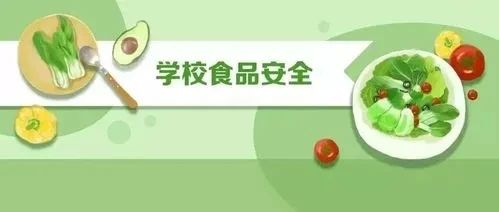 校園食品安全與教師食品安全教育的至關(guān)重要性