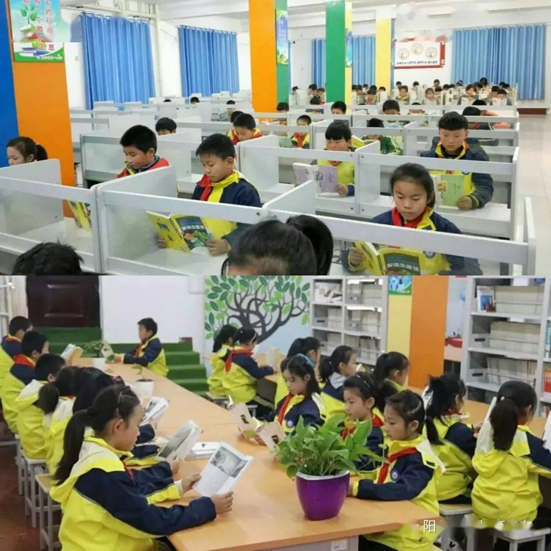 學生社團與學校社團活動多元化發(fā)展路徑，探索與實踐