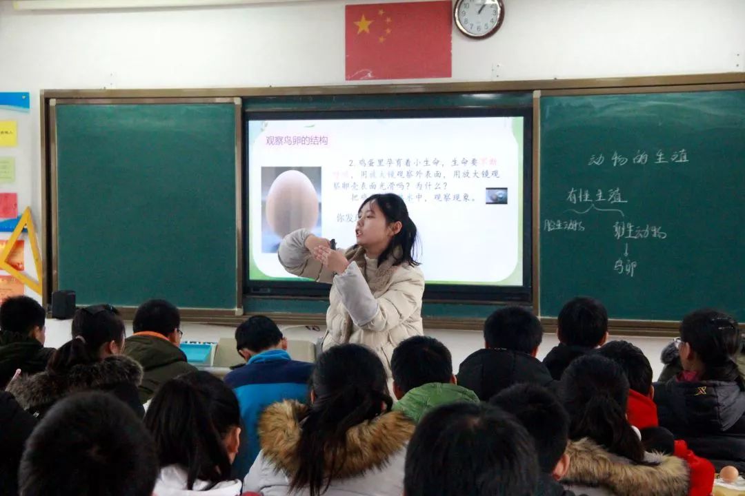 新知識探索，教師教學的活力源泉