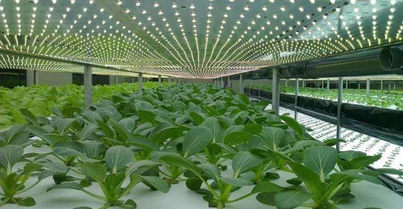 學術(shù)研究對教學創(chuàng)新的啟示與借鑒探討