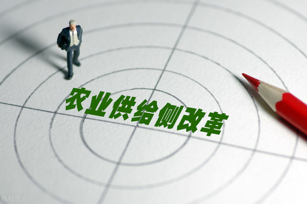 教師領(lǐng)導(dǎo)力與團(tuán)隊協(xié)作的相互關(guān)系