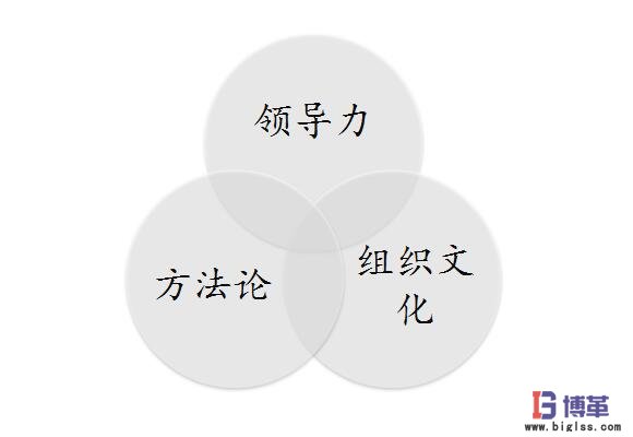 雙語教師如何通過領導力推動學校文化的積極轉變
