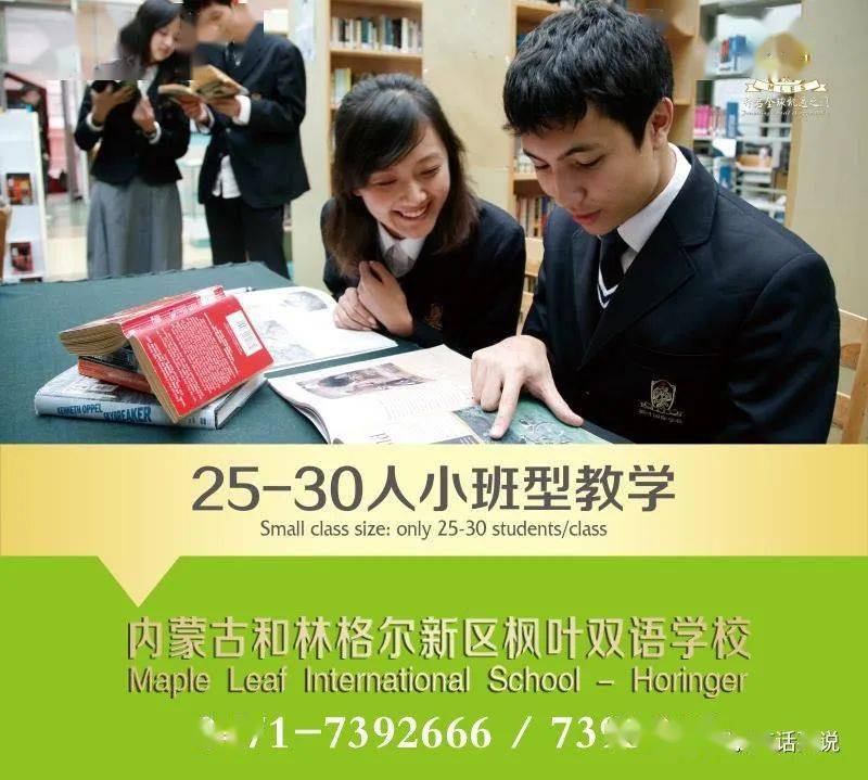 如何通過團(tuán)隊(duì)合作提升雙語學(xué)校的文化多樣性教育