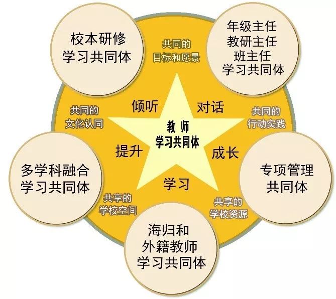 雙語教師在教學(xué)團隊中的協(xié)調(diào)者角色探究