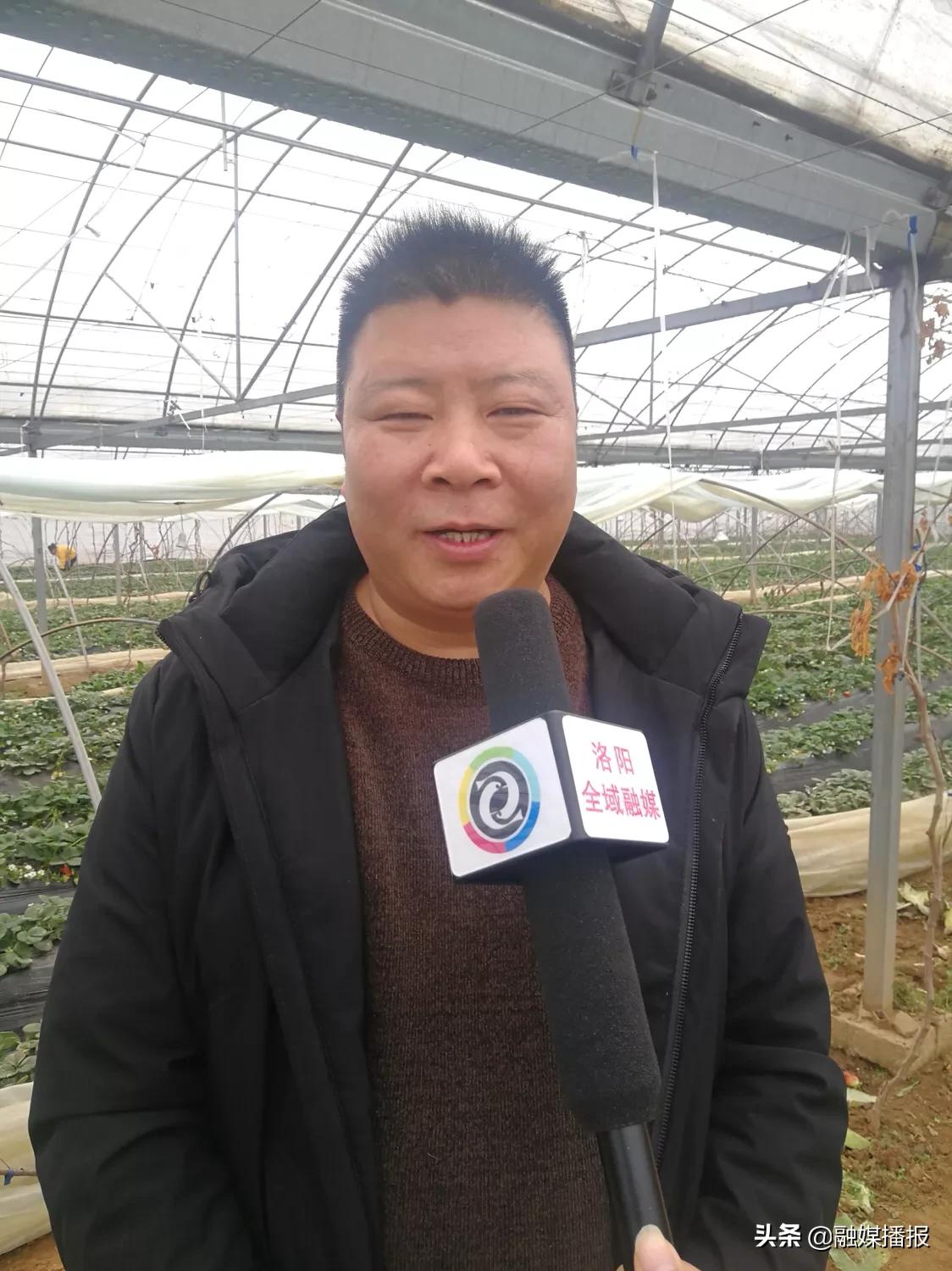 孟津雙語學校放假安排及其影響探討
