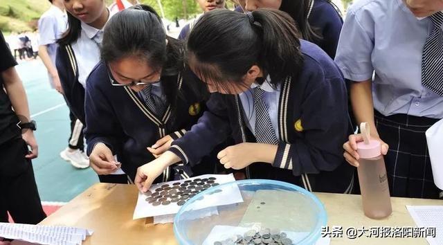 孟津雙語學(xué)校招聘啟事