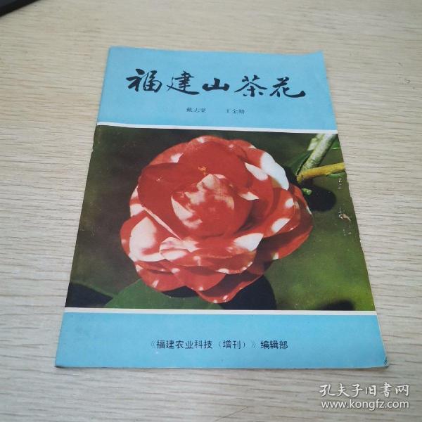 孟津雙語(yǔ)學(xué)校杰出的教育者——王金勛老師