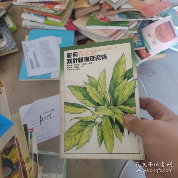 孟津雙語(yǔ)學(xué)校杰出的教育者——王金勛老師