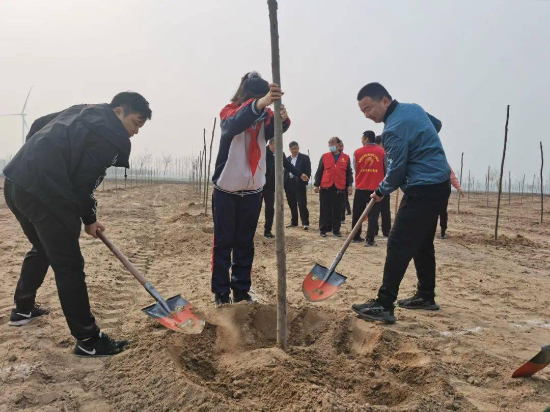 學(xué)校開展我為黃河種棵樹主題實踐活動的意義與影響