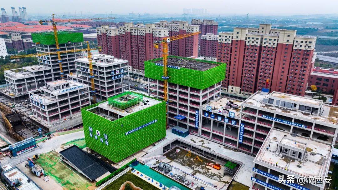 學校召開2025屆畢業(yè)生春季就業(yè)推進會，聚焦重點工作，助力畢業(yè)生順利就業(yè)
