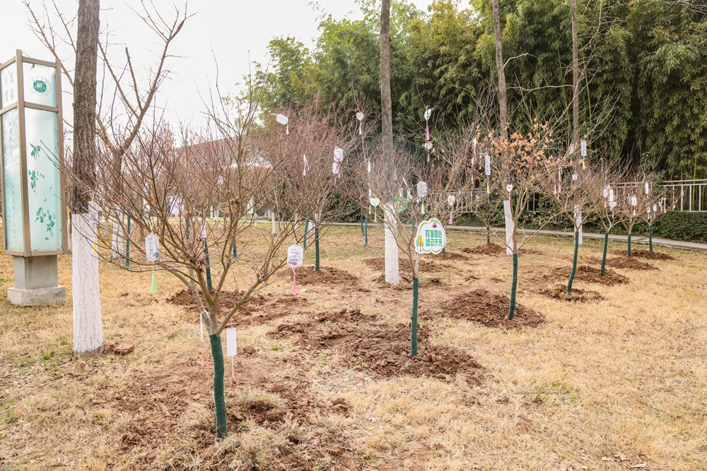 學(xué)校舉辦2025年植樹節(jié)活動(dòng)，播種綠色希望，共創(chuàng)美好未來校園生態(tài)夢啟航！