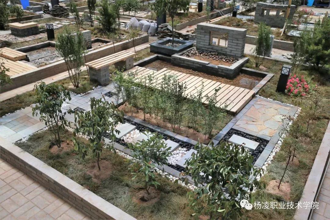 我校成功舉辦第十七屆山東省職業(yè)院校技能大賽園林景觀設計與施工賽項