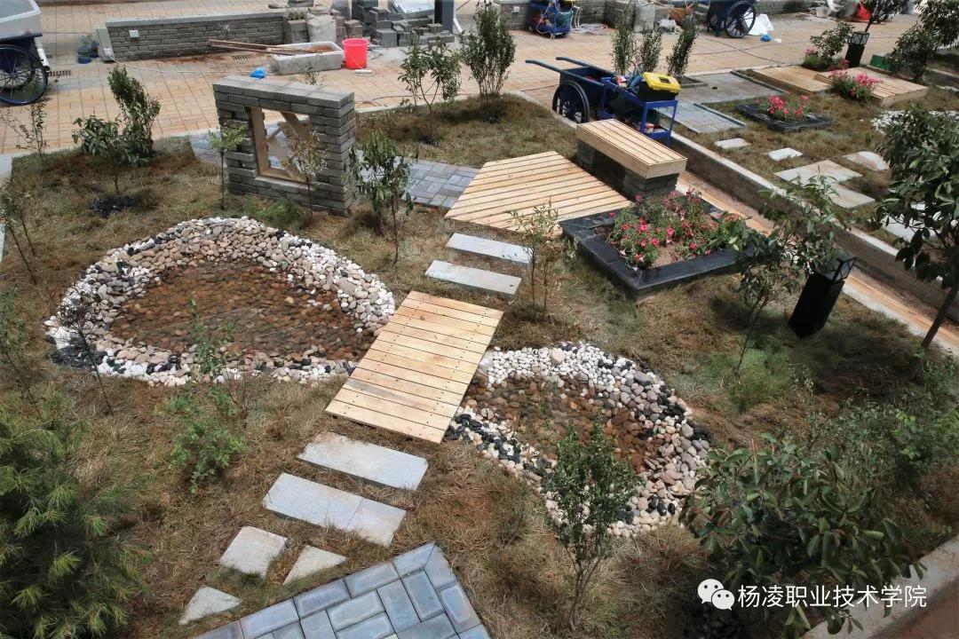 我校成功舉辦第十七屆山東省職業(yè)院校技能大賽園林景觀設計與施工賽項