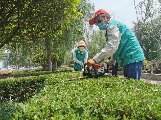 第十七屆山東省職業(yè)院校技能大賽高職組園林景觀設(shè)計與施工賽項盛大開幕——綠色未來學子風采展