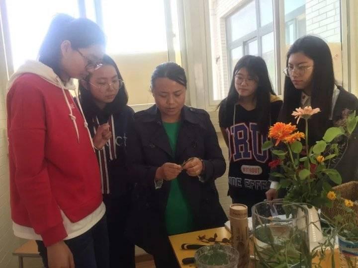 第十七屆山東省職業(yè)院校技能大賽高職組園林景觀設(shè)計與施工賽項在我校盛大舉行——探索綠色未來，展現(xiàn)學(xué)子風(fēng)采