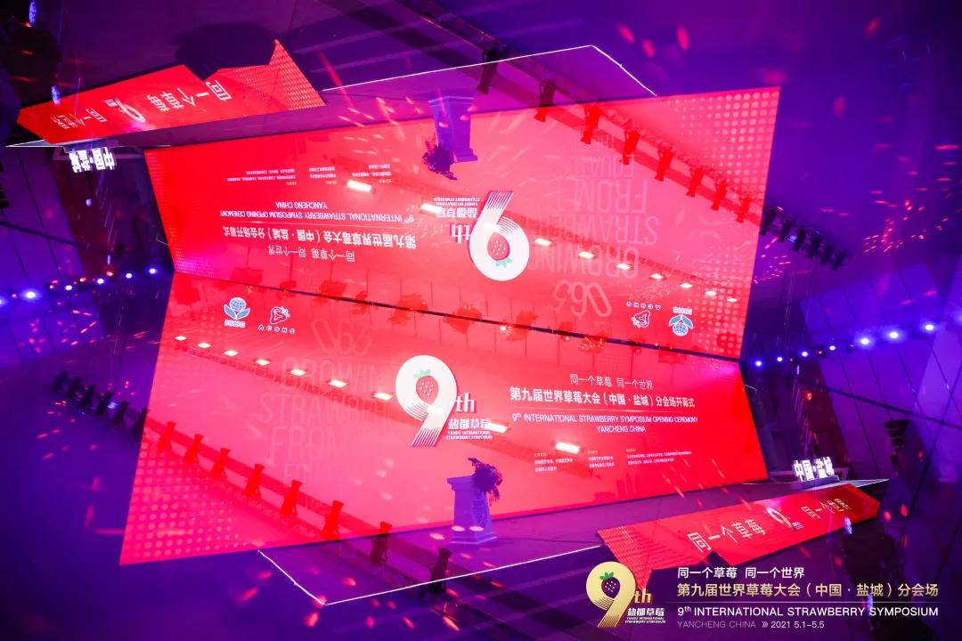 喜報！我院在國際總決賽中榮獲金獎第一名，在2023金磚國家職業(yè)技能大賽上為國爭光