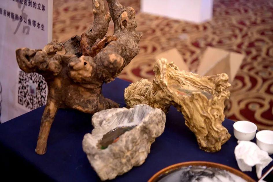 學(xué)院生物技術(shù)工程系插花大賽榮獲銀獎紀(jì)實