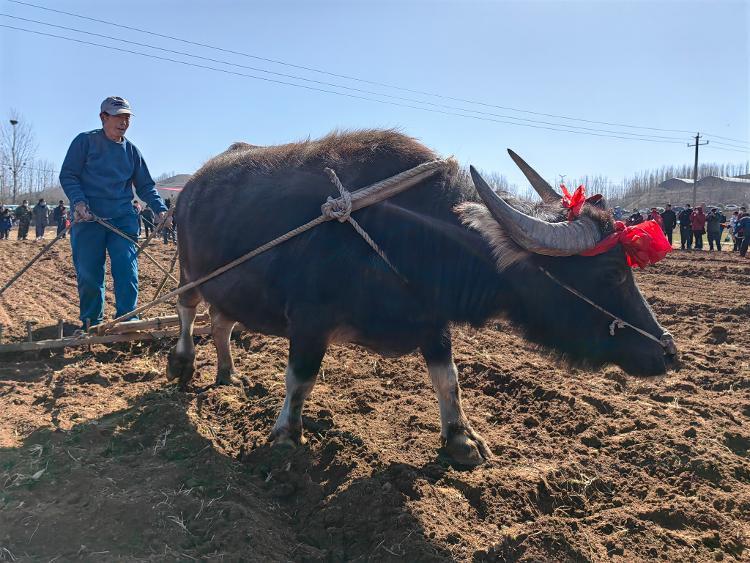 強技鑄魂，提質(zhì)增效，生物技術(shù)工程系全面推進現(xiàn)代農(nóng)業(yè)人才培育
