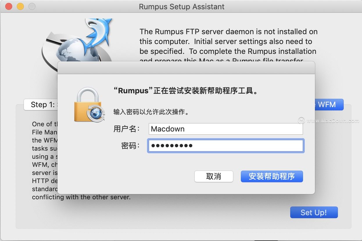 2026年WhatsApp網(wǎng)頁(yè)版文件傳輸優(yōu)化探究